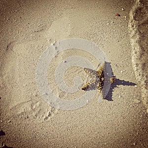 Instagram image of footprints in sand as waves roll in