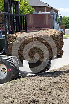 Install new lawn sod in community