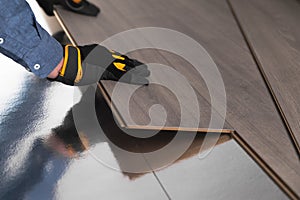 Installation of floating floor, handyman putting a sheet of laminate. Home improvement concept