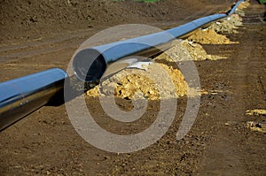 Installation of gas pipelines in field. excavated topsoil hiding route. black pipe is supported by piles of soil and is welded abo