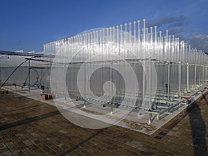 Growing algae in small bioreactors