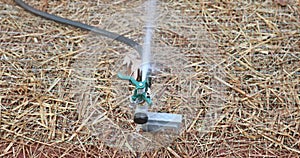 Installation by professional technician lawn sprinkler watering yard