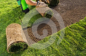 Installing Fresh Natural Grass Turfs From a Roll