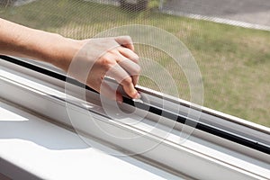 Installing mosquito nets for plastic windows.