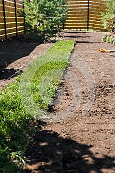 Installing new grass turfs from a roll - Garden building theme