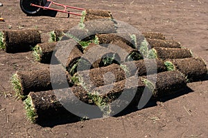 Installing new grass turfs from a roll - Garden building theme