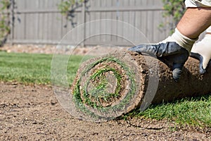 Installing new lawn