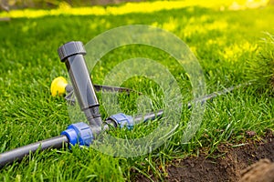 Installing a pop-up sprinkler in the lawn, close-up. Grass Irrigation Integration