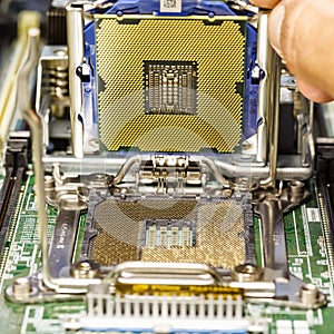 Installing processor on server motherboard closeup