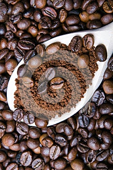 Instant coffee in spoon on coffee beans