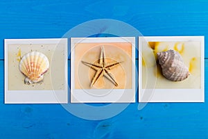 Instant Frames of Starfish and Seashells