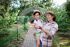 Instilling love for farming from childhood. Mom and daughter, hold copy space on hands palms up, in family organic farm