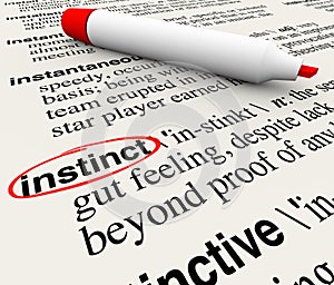 Instinct Dictionary Definition Word Circled Meaning