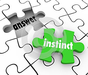 Instinct Puzzle Piece Find Answer Solve Puzzle Gut Feeling Solution