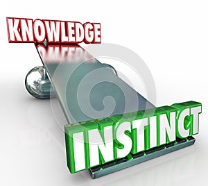 Instinct Vs Knowledge 3d Words See Saw Balance Gut Feeling