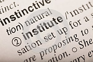 Institute - word in dictionary