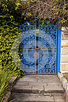 Instricate blue gate