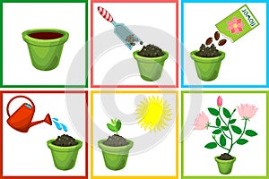 Instructions on how to plant flower in six steps. Step by step