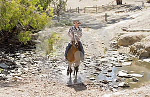 Instructor or cattleman riding horse in sunglasses, cowboy hat and rider boots