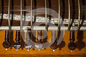 Instrument case with Sitar, a string traditional Indian musical