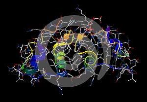 Insulin 3D molecular model photo