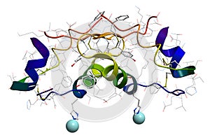 Insulin molecular structure photo