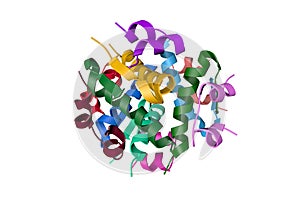 Insulin, monoclinic crystal form. Ribbons diagram with differently colored protein chains. 3d illustration