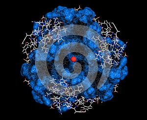 Insulin peptide hormone, 3D rendering. Important drug in treatme