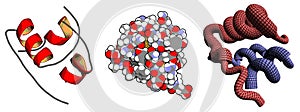 Insulin peptide hormone, chemical structure. Important drug in treatment of diabetes. Shown in het hexameric form, bound to zinc