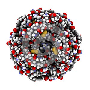 Insulin peptide hormone, chemical structure. Used in treatment of diabetes. Shown in het hexameric form, bound to zinc ions. Atoms