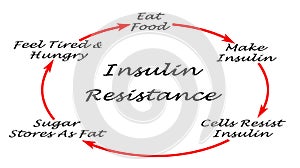 Insulin Resistance