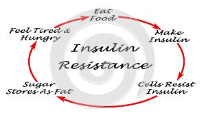 Insulin Resistance photo