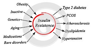 Insulin Resistance photo