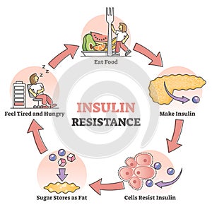 Insulin resistance pathological health condition educational outline diagram photo