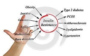 Insulin Resistance photo