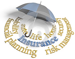 Insurance agency umbrella risk planning services