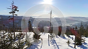 Intact Snow Trees Winter Aerial 4k