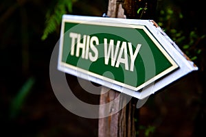 A intage Green This Way Sign