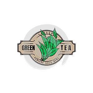 Intage Retro Green Tea Leaf Leaves Label Logo Design Vector