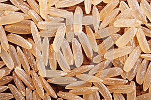 Integral rice. photo