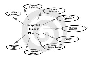 Integrated Business Planning