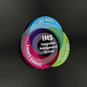 Integrated Management Systems