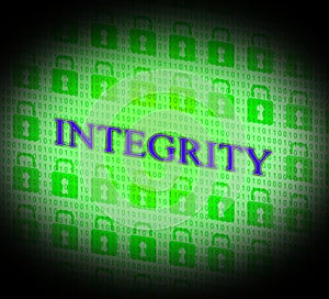 Integrity Data Represents Bytes Facts And Decency
