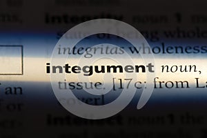 integument