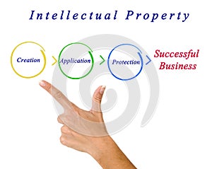 Intellectual property diagram