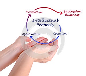 Intellectual property diagram