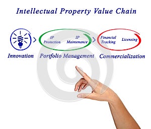 Intellectual Property Value Chain