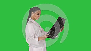 Intellectual woman healthcare personnel with white labcoat, looking at x-ray radiographic image, ct scan, mri on a Green