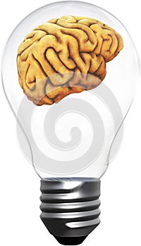 Intelligence, Ideas, Innovation, Brains, Isolated