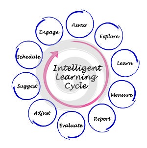 Intelligent Learning Cycle
